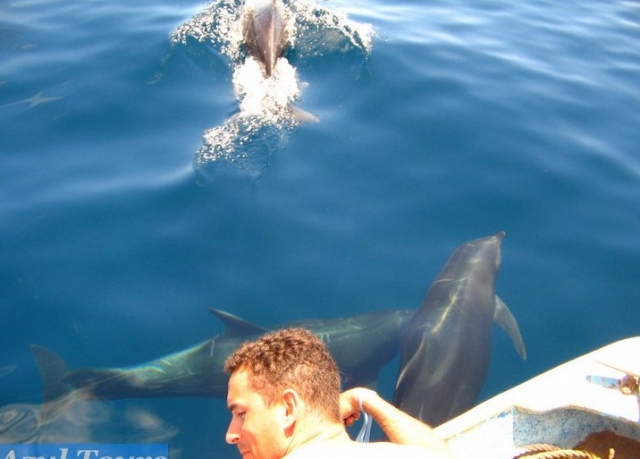  享受科尔特斯海